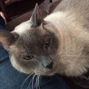 Meet your Posher, Shawn